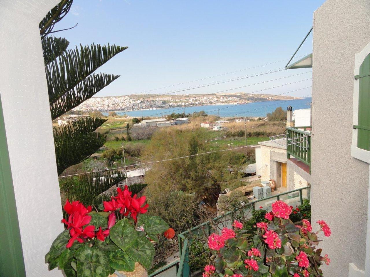 Bellevue Apartments Сития Екстериор снимка